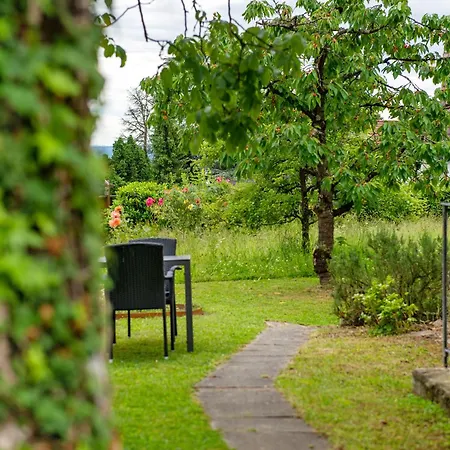 Aussichtsreich Am 아파트 울딘겐물호펜